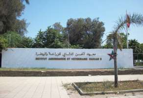 IAV Hassan II : Formations offertes