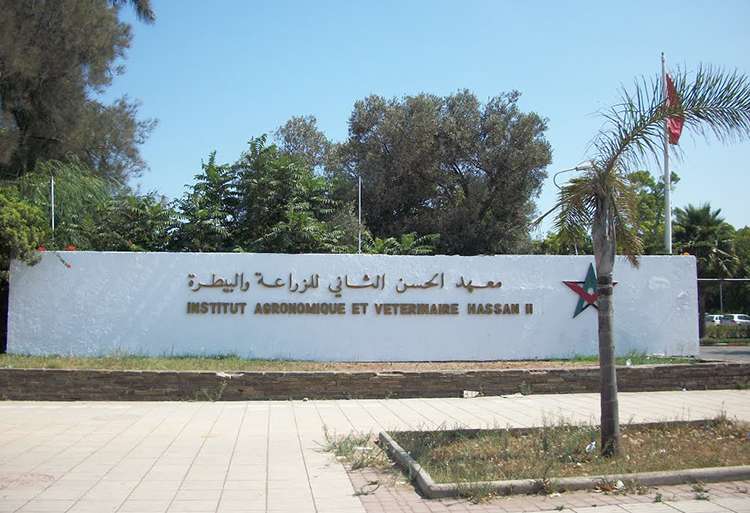 IAV Hassan II : Formations offertes