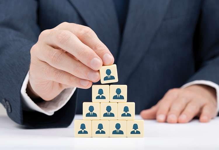 La hiérarchie scolaire