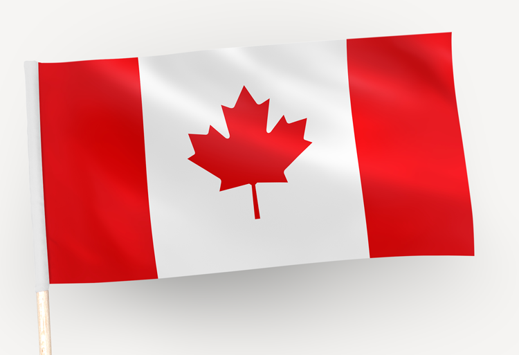 Résultats définitifs des bourses canadiennes d’exemption des frais de scolarité majorés - Hiver 2019