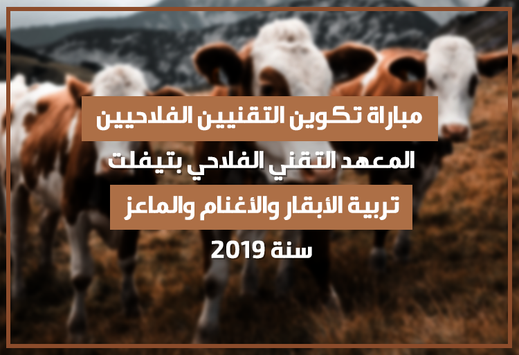 مباراة تكوين التقنيين الفلاحيين في شعبة تربية الأبقار والأغنام والماعز بالمعهد التقني الفلاحي بتيفلت 2019