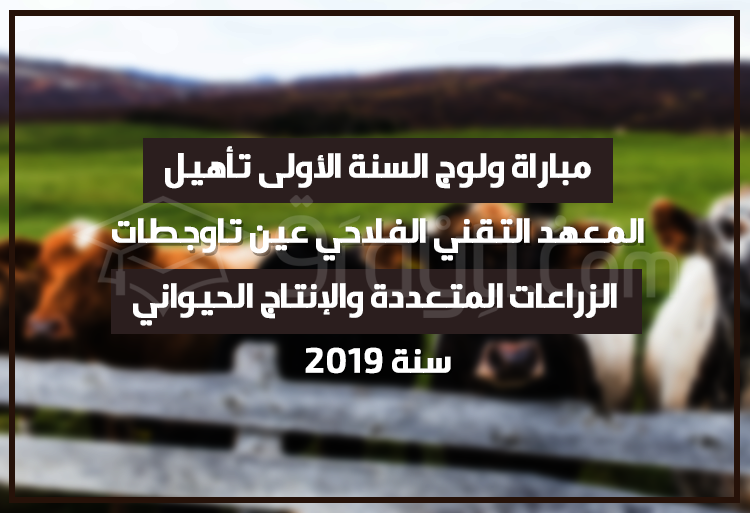 مباراة ولوج السنة الأولى تأهيل بالمعهد التقني الفلاحي عين تاوجطات 2019