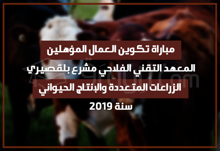 مباراة تكوين العمال المؤهلين في الزراعات المتعددة والإنتاج الحيواني بالمعهد التقني الفلاحي مشرع بلقصيري 2019