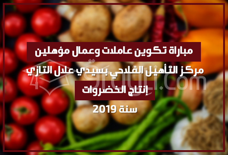 مباراة تكوين عاملات وعمال مؤهلين في إنتاج الخضروات بمركز التأهيل الفلاحي بسيدي علال التازي 2019