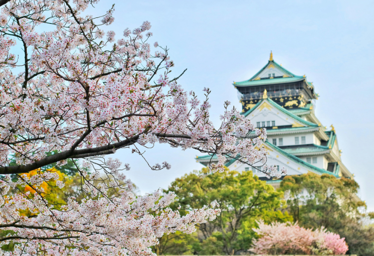 Initiative ABE : Bourses d'études au Japon pour les étudiants marocains 2025-2026